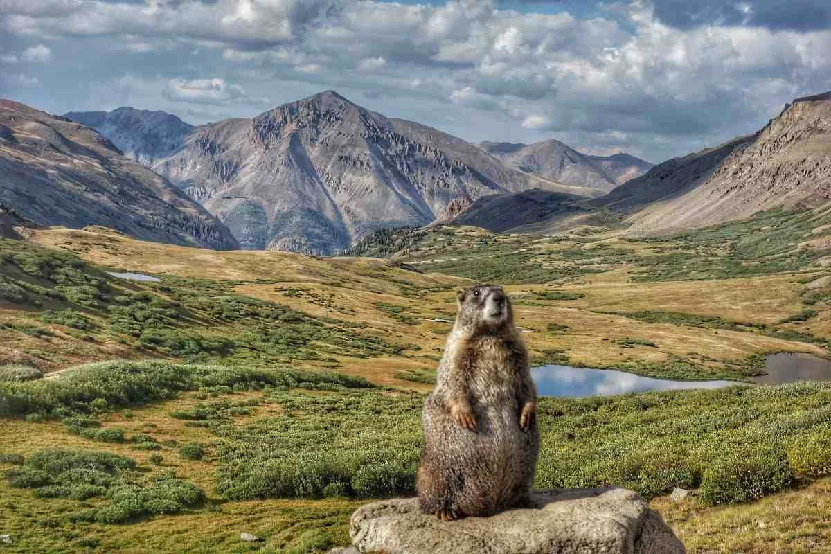 Colorado trail sale thru hike
